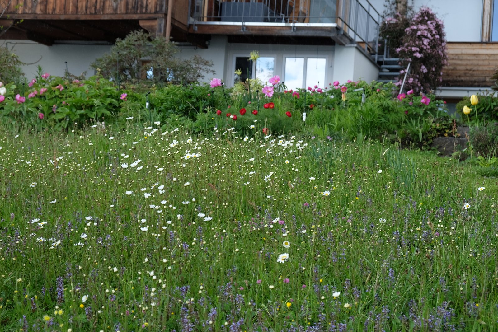 6. ÜBERBLICK DSCF7783