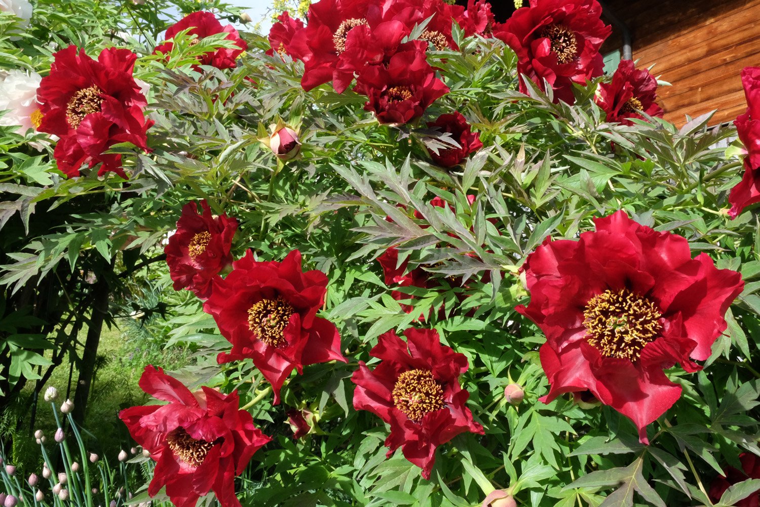 7. LA TENEBREUSE_klein