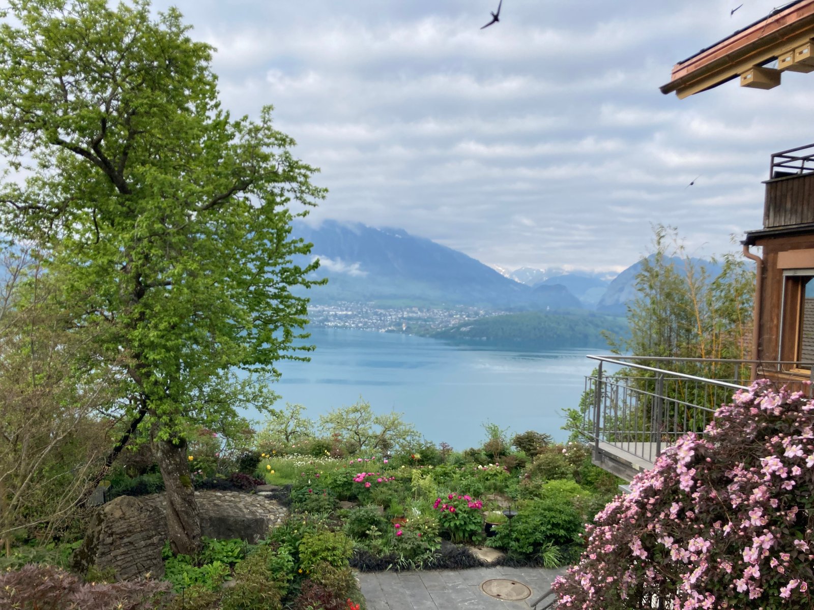 8. ÜBERBLICK MG_8041