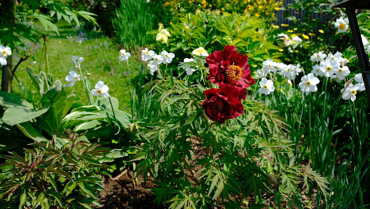 _DSF-La-Tenebreuse-(Riviere-2917)-1599